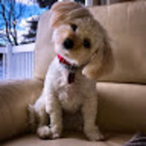 Meet your Posher, Lydia